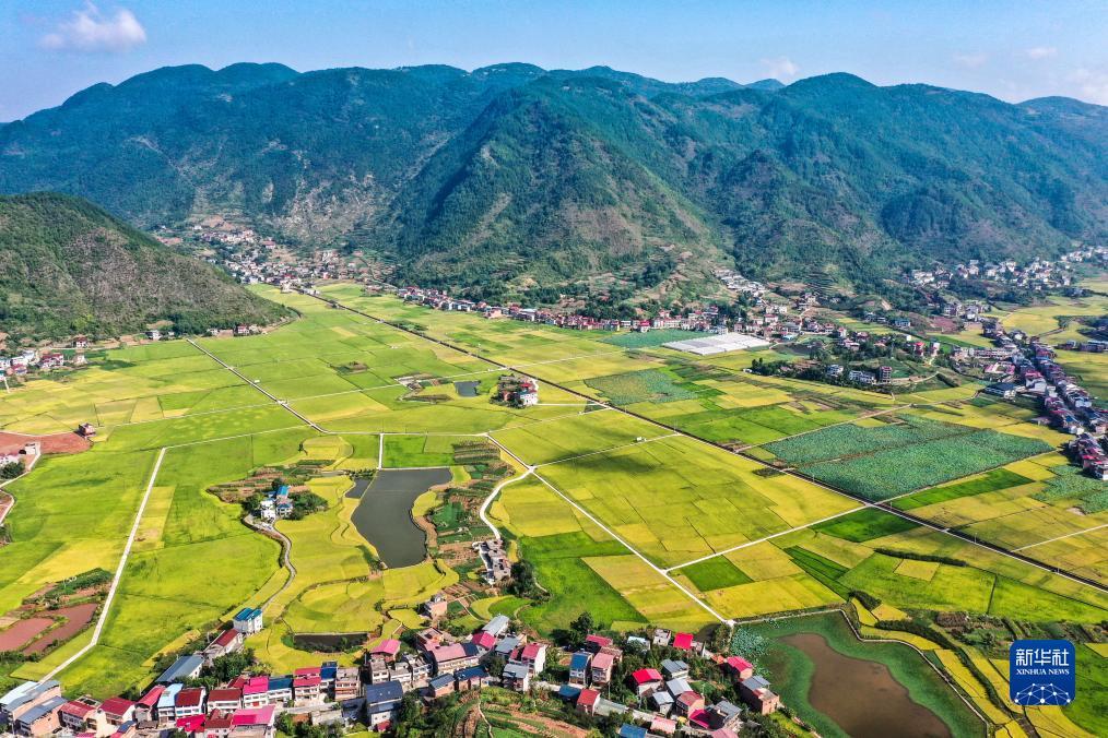 ttg登录地址